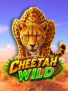 Cheetah Wild_v